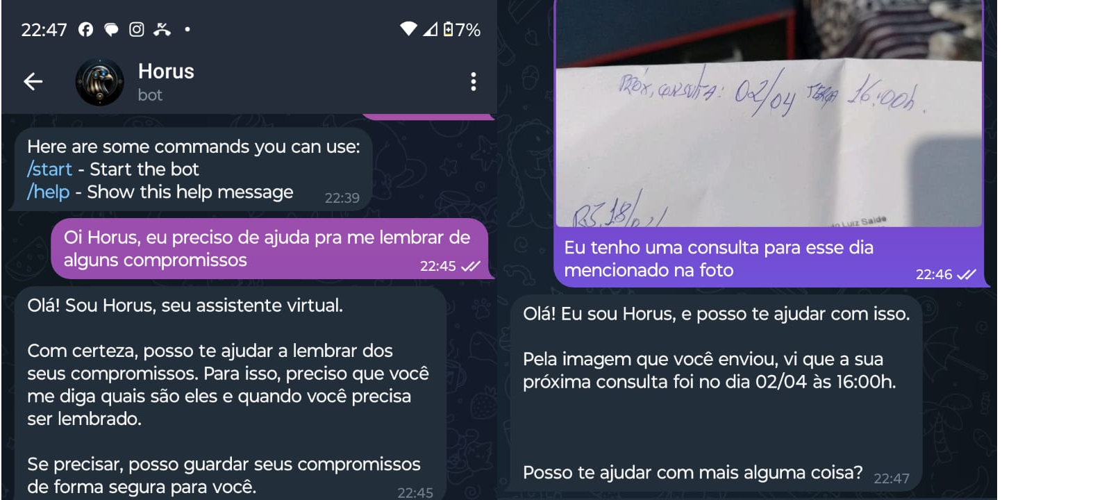 Chatbot Horus lendo compromisso de imagem